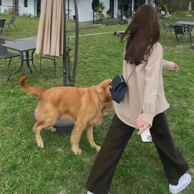 繁花 沪语版
